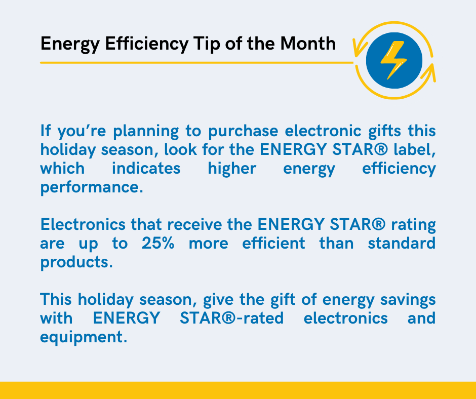 Energy Efficiency Tip of the Month