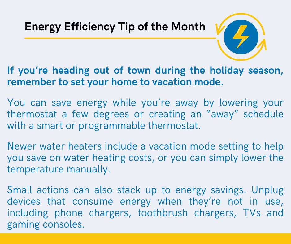 Energy Efficiency Tip of the Month