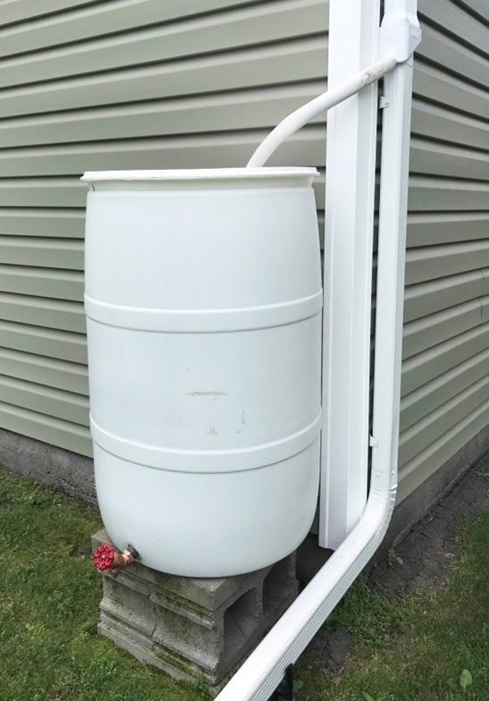 rainwater