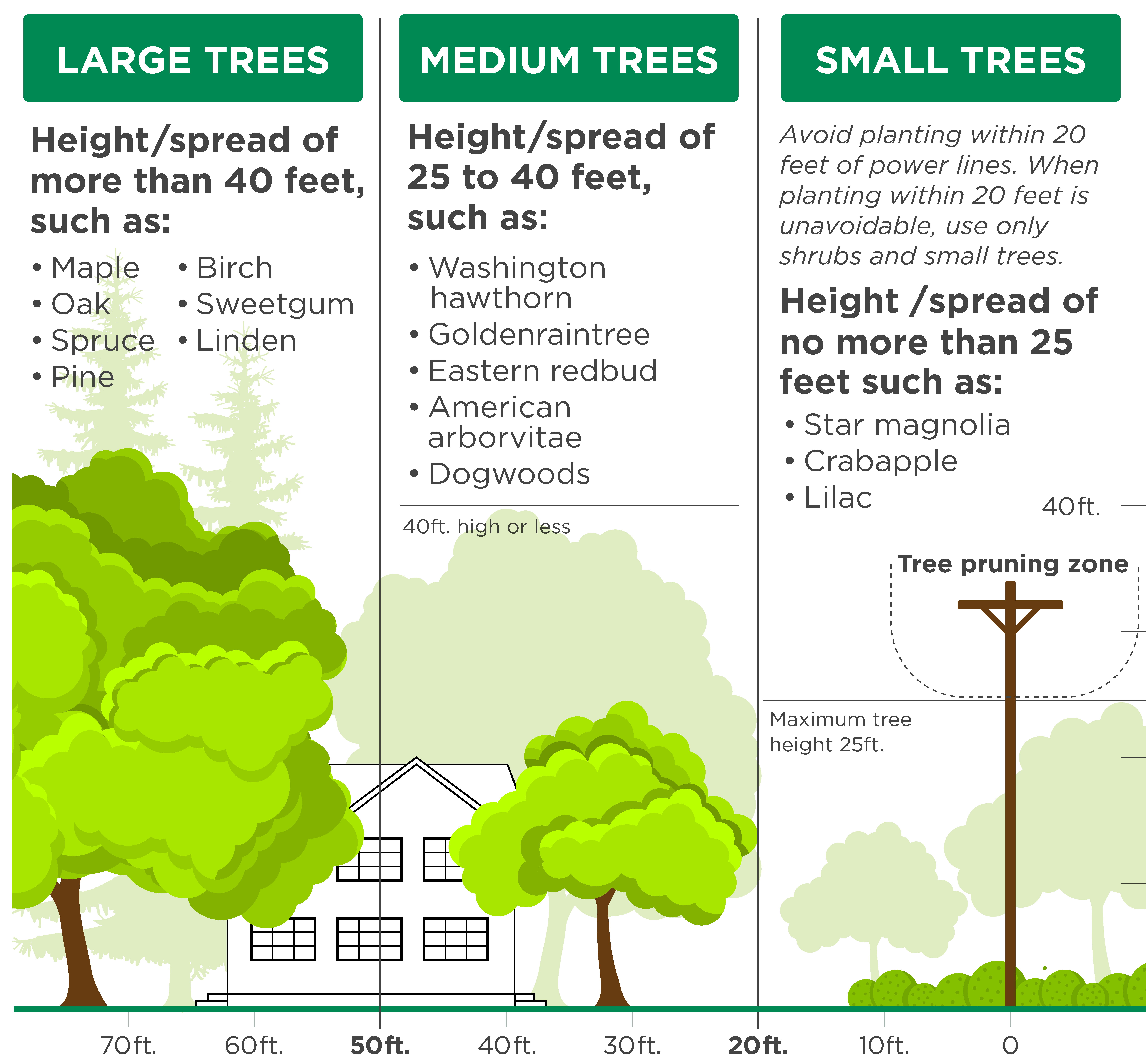 Tree Planting Tips