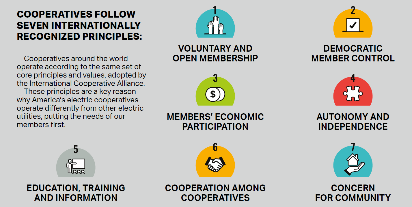 Co-op 101: Your Vote Matters