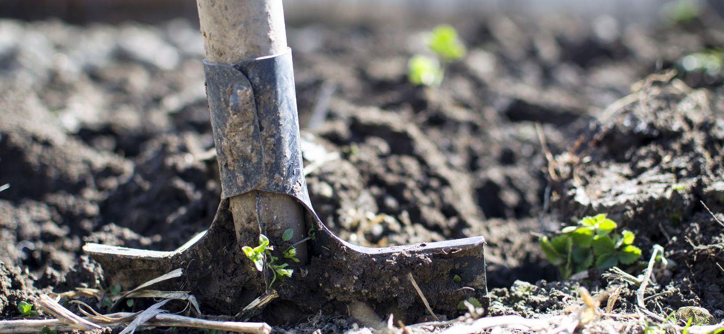 Call Before You Dig
